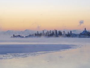 Preview wallpaper ice, trees, fog, snow, winter, white