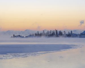 Preview wallpaper ice, trees, fog, snow, winter, white