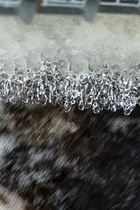 Preview wallpaper ice, water, macro, blur