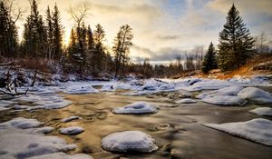 Preview wallpaper ice, water, river, snow, fur-trees