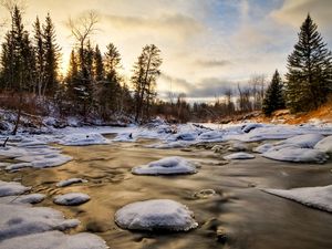 Preview wallpaper ice, water, river, snow, fur-trees