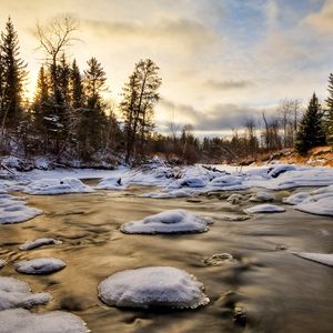 Preview wallpaper ice, water, river, snow, fur-trees