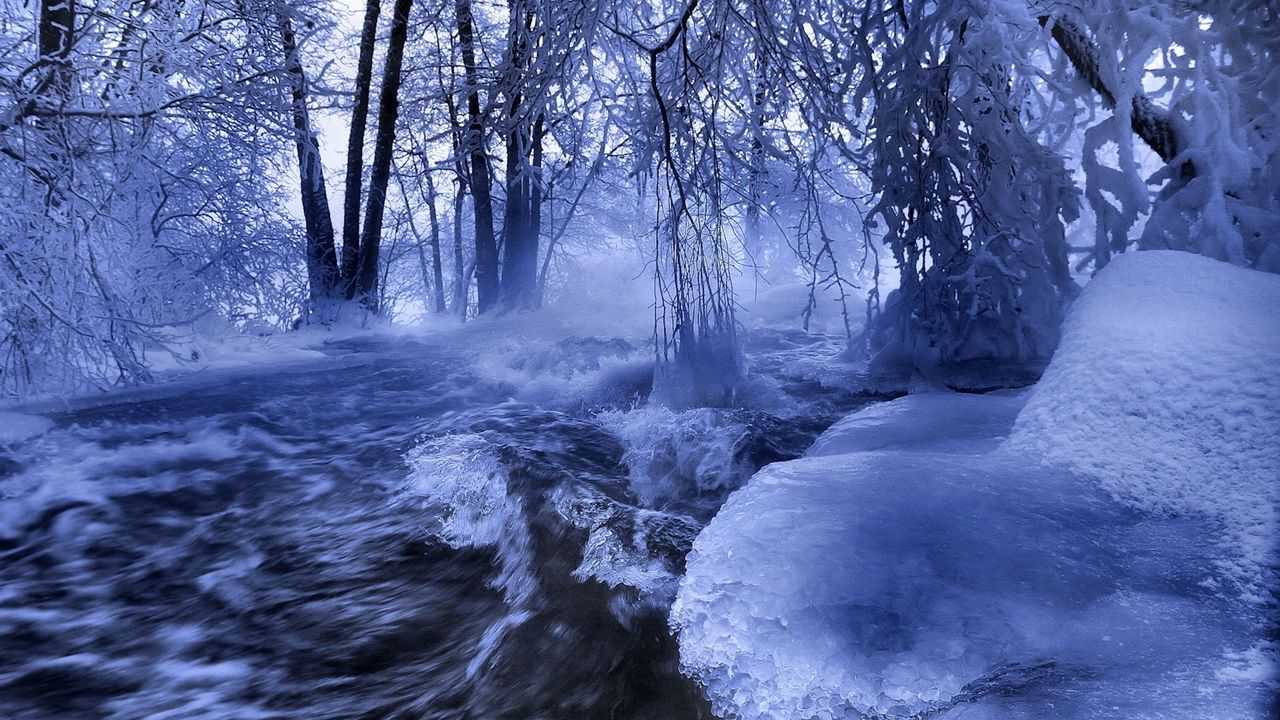 Wallpaper ice, water, stream, river, waves, trees, branches, hoarfrost