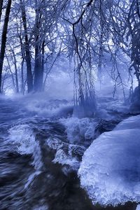 Preview wallpaper ice, water, stream, river, waves, trees, branches, hoarfrost