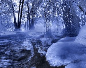 Preview wallpaper ice, water, stream, river, waves, trees, branches, hoarfrost