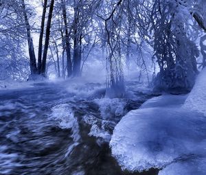 Preview wallpaper ice, water, stream, river, waves, trees, branches, hoarfrost