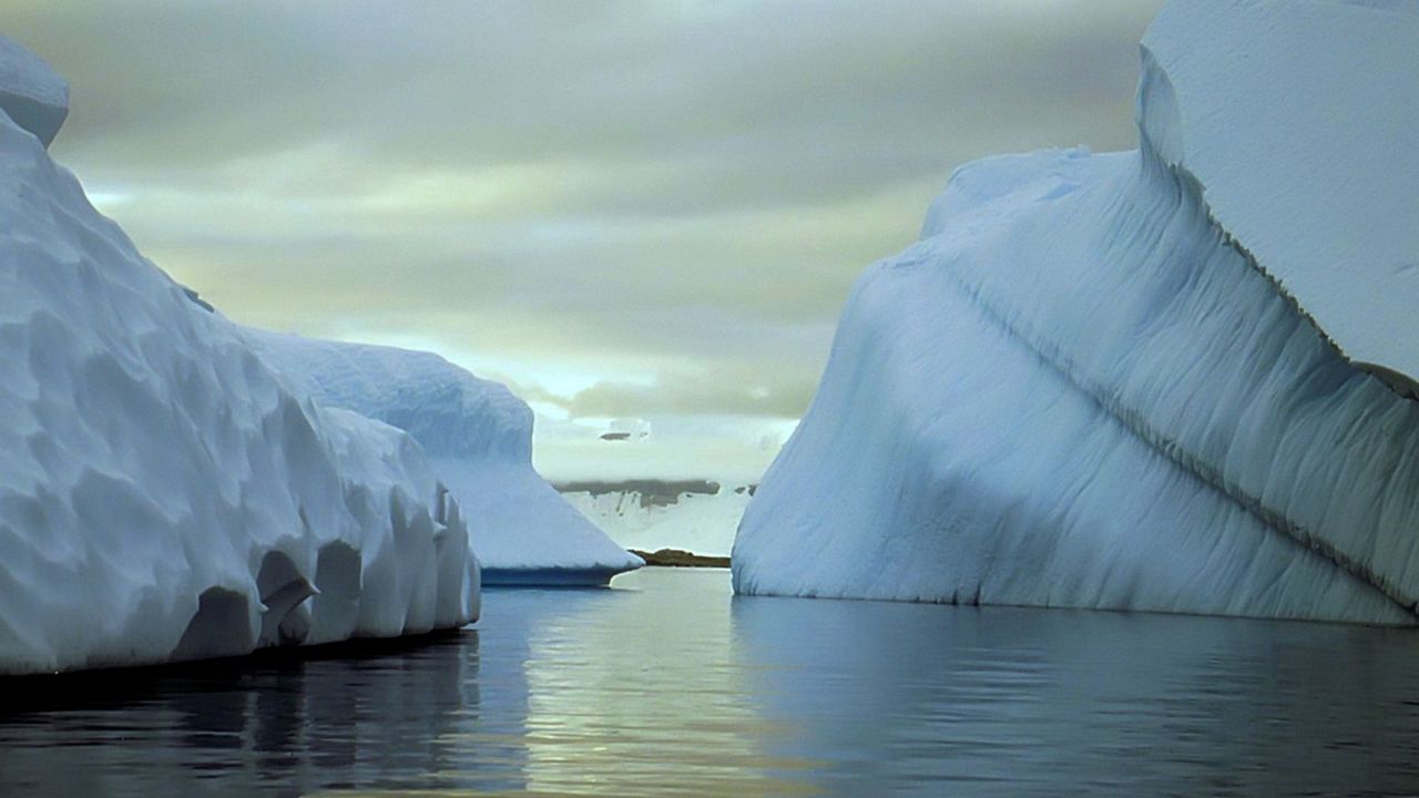 Wallpaper icebergs, antarctica, white, blocks, cold, silence, emptiness