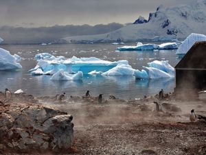 Preview wallpaper icebergs, antarctica, white, blocks, coast, penguins, fog, lodge