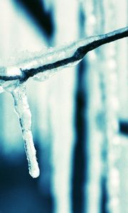 Preview wallpaper icicle, branch, ice, spring, dark blue