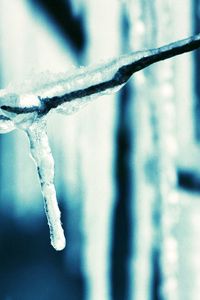 Preview wallpaper icicle, branch, ice, spring, dark blue