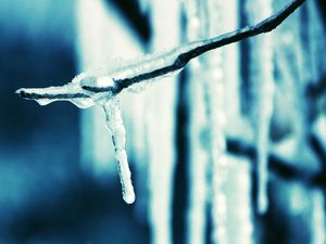 Preview wallpaper icicle, branch, ice, spring, dark blue