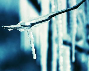 Preview wallpaper icicle, branch, ice, spring, dark blue