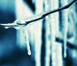 Preview wallpaper icicle, branch, ice, spring, dark blue