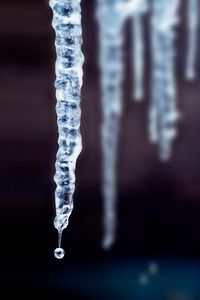 Preview wallpaper icicle, drop, ice, macro, blur