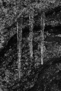 Preview wallpaper icicles, ice, cave, macro