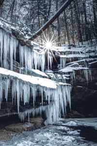 Preview wallpaper icicles, ice, winter, sun