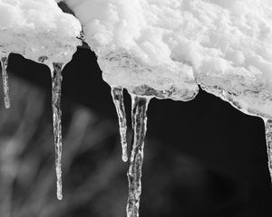 Preview wallpaper icicles, ice, winter, macro