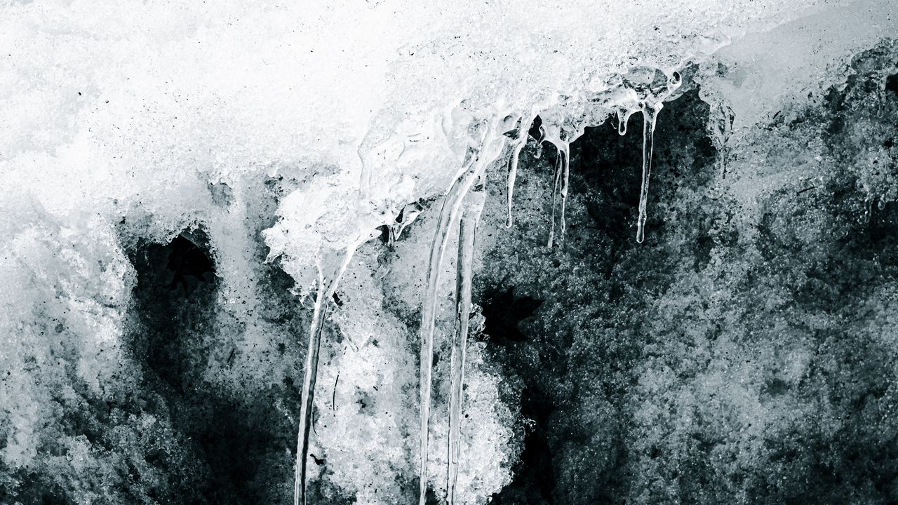 Wallpaper icicles, snow, ice, macro hd, picture, image