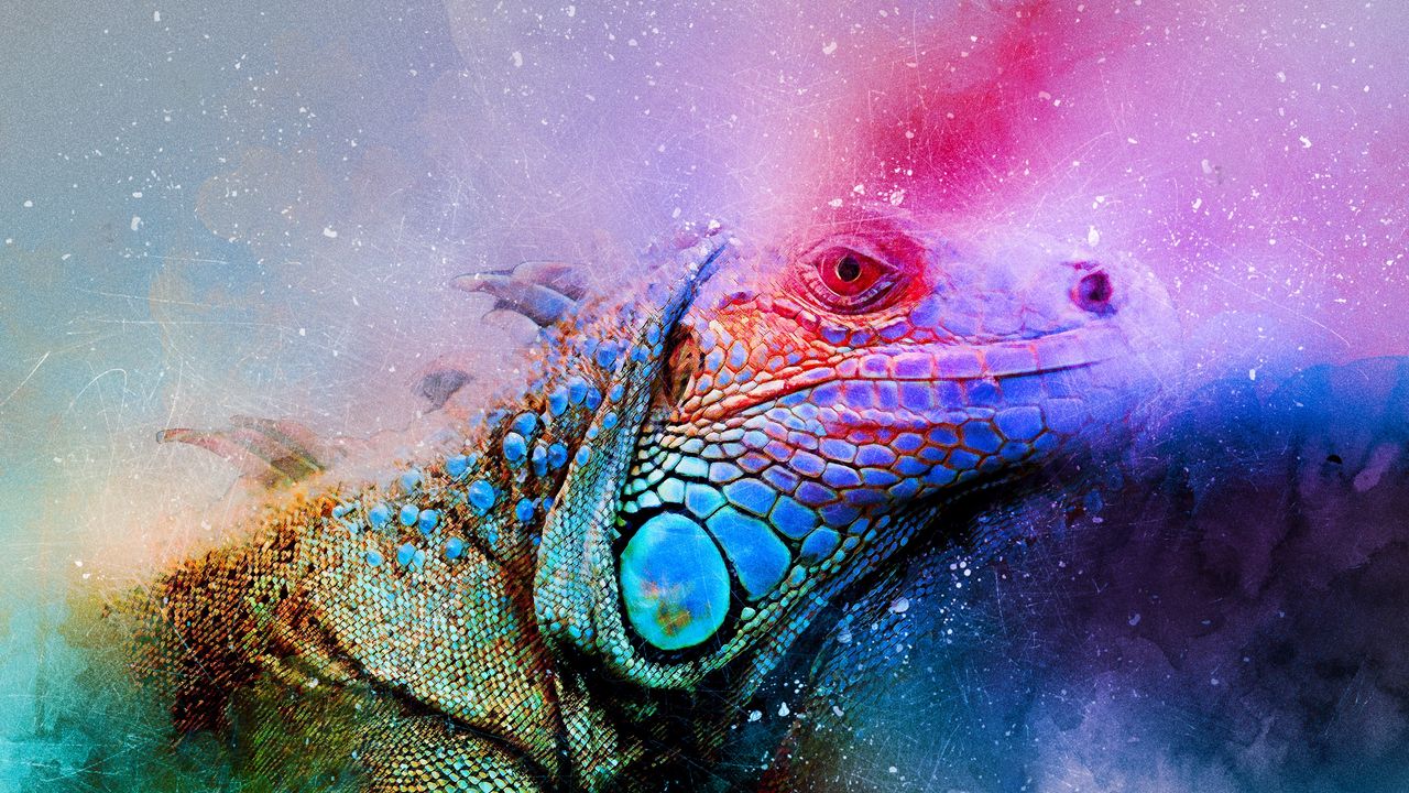Wallpaper iguana, reptile, art, colorful