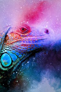 Preview wallpaper iguana, reptile, art, colorful