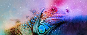 Preview wallpaper iguana, reptile, art, colorful