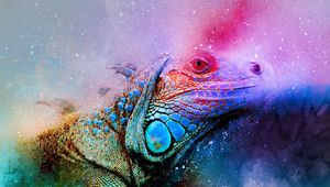 Preview wallpaper iguana, reptile, art, colorful