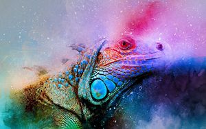 Preview wallpaper iguana, reptile, art, colorful