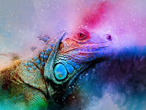 Preview wallpaper iguana, reptile, art, colorful