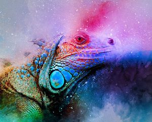 Preview wallpaper iguana, reptile, art, colorful