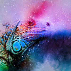 Preview wallpaper iguana, reptile, art, colorful