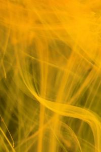 Preview wallpaper ink, liquid, mixing, transparent, abstraction, yellow