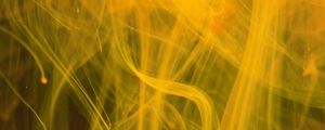 Preview wallpaper ink, liquid, mixing, transparent, abstraction, yellow