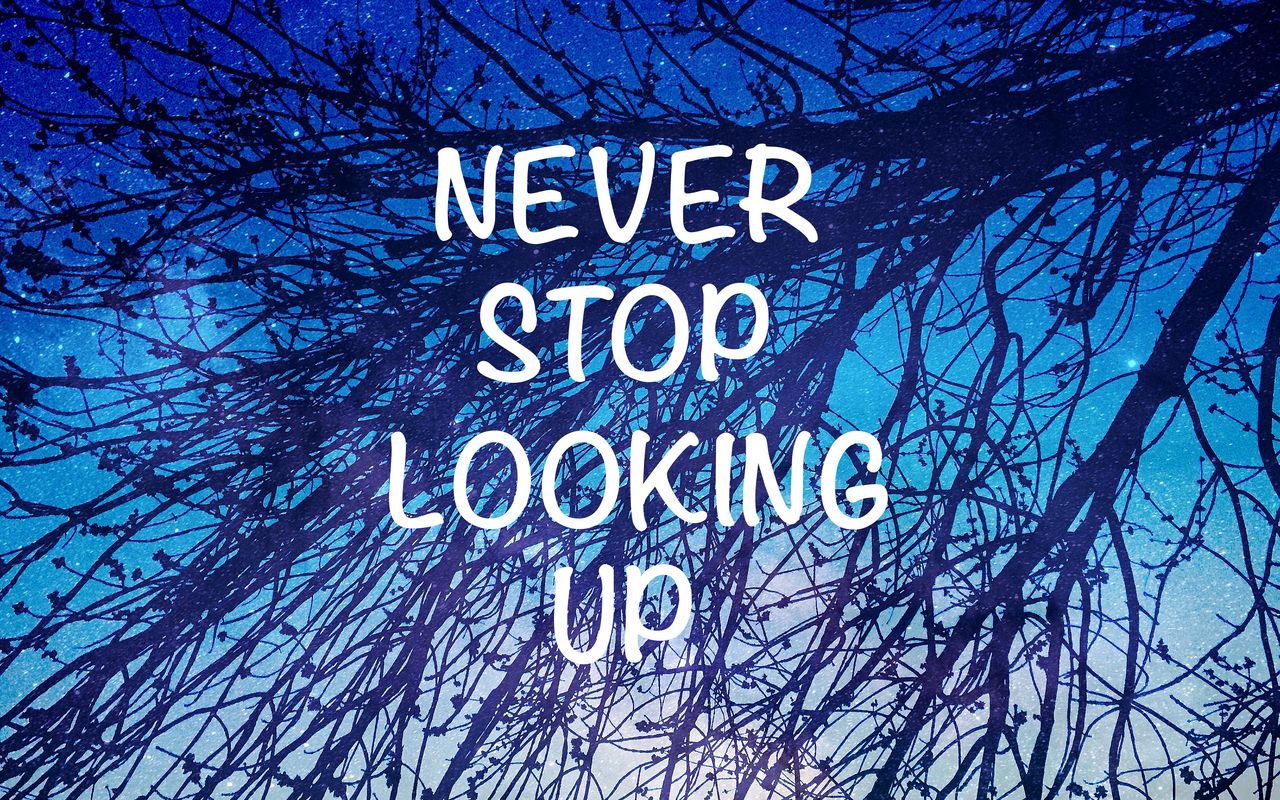 1280x800 Wallpaper inscription, motivation, branches, starry sky