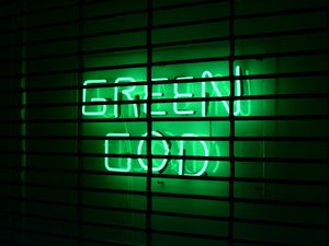 Preview wallpaper inscription, neon, green, lattice, wall