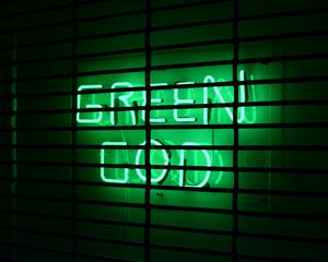 Preview wallpaper inscription, neon, green, lattice, wall