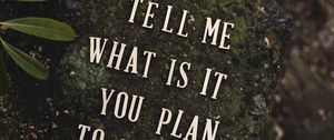 Preview wallpaper inscription, phrase, words, stone, plant