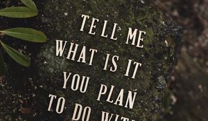 Preview wallpaper inscription, phrase, words, stone, plant