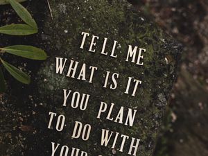 Preview wallpaper inscription, phrase, words, stone, plant