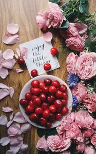 Preview wallpaper inscription, words, cherry, spring