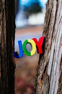 Preview wallpaper inscription, words, joy, trees