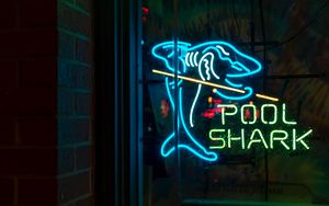 Preview wallpaper inscription, words, neon, shark