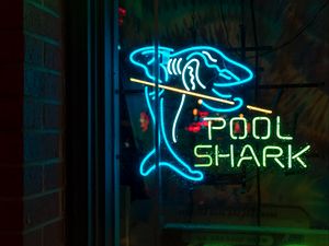 Preview wallpaper inscription, words, neon, shark