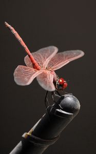 Preview wallpaper insect, fly, pink