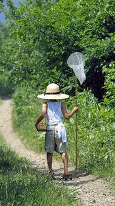 Preview wallpaper insect net, baby, walk, trail, trees