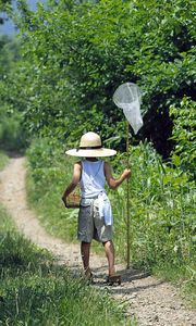 Preview wallpaper insect net, baby, walk, trail, trees