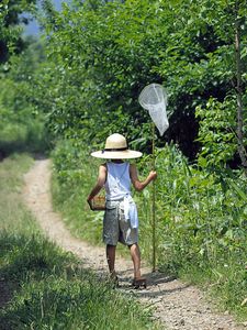 Preview wallpaper insect net, baby, walk, trail, trees