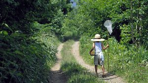 Preview wallpaper insect net, baby, walk, trail, trees