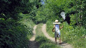 Preview wallpaper insect net, baby, walk, trail, trees