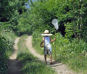 Preview wallpaper insect net, baby, walk, trail, trees