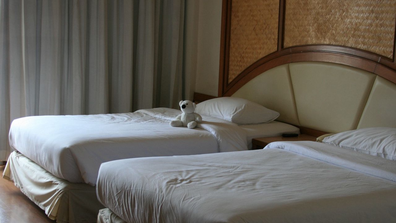 Wallpaper interior, hotel, beds, teddy bear